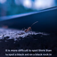 Shirk is more difficult to spot than a black ant on a black stone in a dark night Hadith, Raefipour